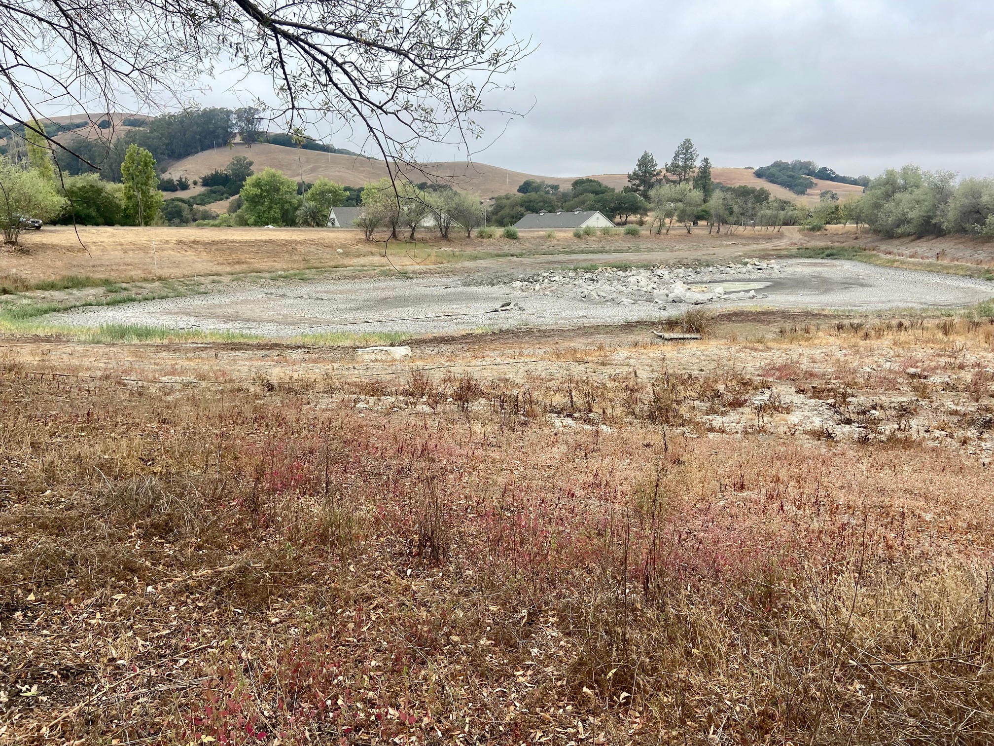 A pond at McEvoy Ranch in Petaluma, which typically held 9.7 million gallons, is show dried up in August 2021. (County of Marin photo)